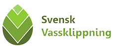 vassklipning